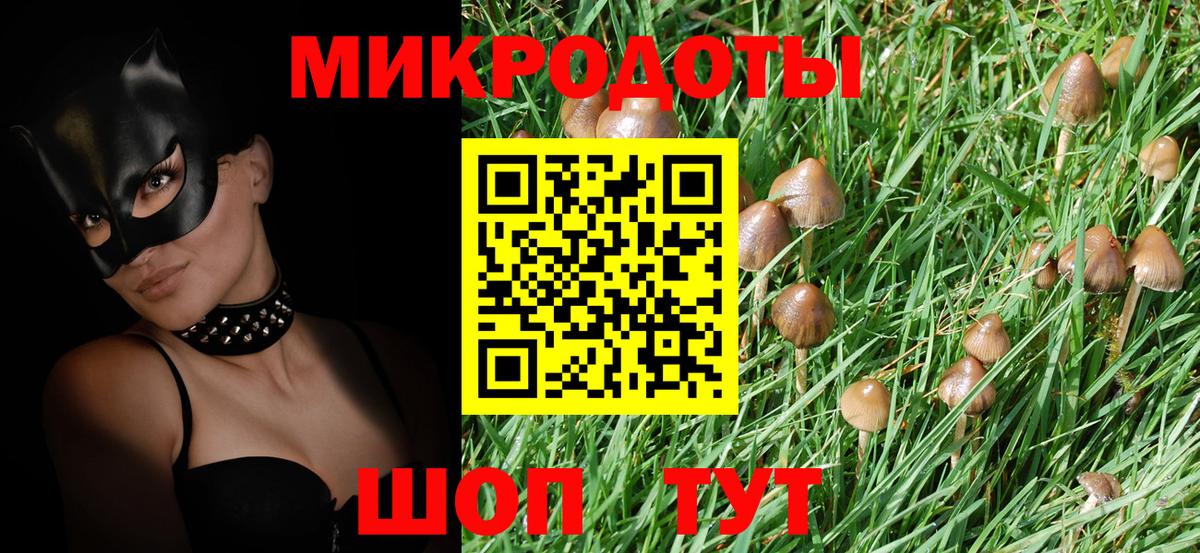 Галлюциногенные грибы прущие грибы Тавда