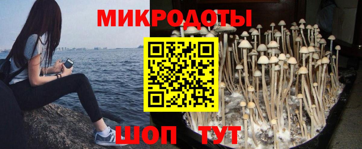 закладки  Псилоцибиновые грибы Psilocybe  Псилоцибиновые грибы MAGIC MUSHROOMS  Вход с VPN  Тавда 