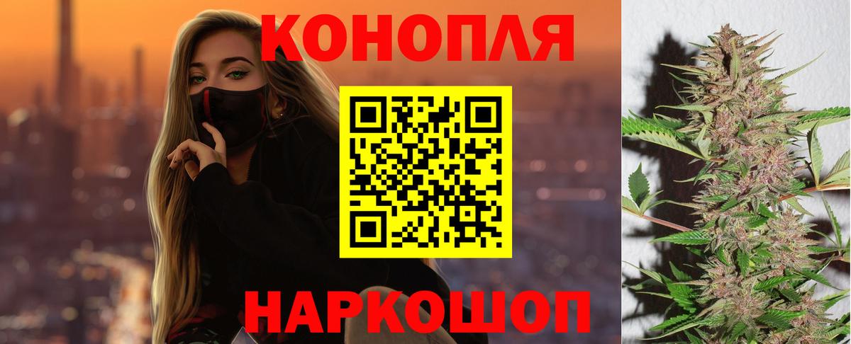 Конопля планчик Тавда